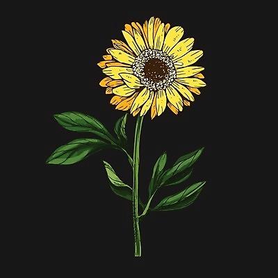 EPS 해외이미지 식물 1 디자인 꽃 선 줄기 꽃다발 백그라운드 잎 꽃무늬 일러스트 자연 미술 그래픽 장식 초록색 여름 노란색 정원 검은색 봄 벚꽃 흰색 나뭇가지 신용카드 우아함 인쇄 스케치 허브 그림 데이지 고립 구성 디테일 해외202004 해외일러스트 나무 계절 컬러 컨셉 무늬 문화예술 금융 생태계 파일형식 벡터 이미지허브