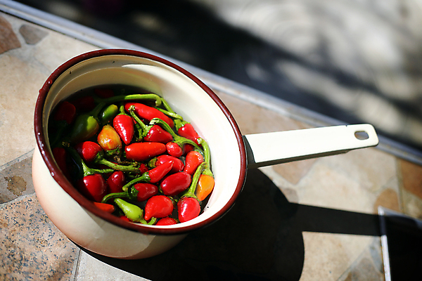 포토 JPG 해외이미지 음식 채소 재료 고추 피망 건강 사람없음 목재 빨간색 초록색 신선 뜨거움 양념 향신료 유기농 매움 날것 후추 숙성 채식주의자 해외202004 해외포토 나무 웰빙 컬러 맛 채식 향미료 파일형식 이미지허브