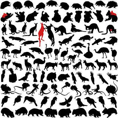 EPS 해외이미지 동물 실루엣 야생동물 음식 일러스트 포유류 파충류 모션 조류 환경 점프 검은색 놀람 개 호주 공격 무서움 먹기 심볼 호기심 뉴질랜드 앵무새 캥거루 타조 이국적 탄자니아 파우치 해외202004 해외일러스트 감정 컬러 컨셉 가방 아프리카 촬영기법 표정 오세아니아 파일형식 벡터 이미지허브