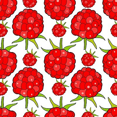 EPS 해외이미지 식물 디자인 열매 종이 음식 분홍색 백그라운드 패턴 다이어트 과일 일러스트 자연 벽지 디저트 건강 미술 그래픽 장식 빨간색 초록색 여름 컬러풀 정원 수확 흰색 신선 달콤 맛 인쇄 수집 심볼 오브젝트 그림 유기농 질감 산딸기 내추럴 고립 숙성 엘리먼트 채식주의자 비건 해외202004 해외일러스트 웰빙 계절 컬러 컨셉 무늬 농업 문화예술 생태계 채식 파일형식 벡터 이미지허브