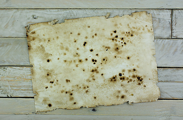 포토 JPG 해외이미지 종이 백그라운드 지도 표면 미술 사람없음 목재 갈색 쪽지 공백 수확 골동품 거친 역사 닫기 두루마리 편지 묘사 질감 복고 페이지 시트 그런지 양피지 옛날 원고 해외202004 해외포토 나무 컬러 농업 재료 모션 문화예술 파일형식 이미지허브