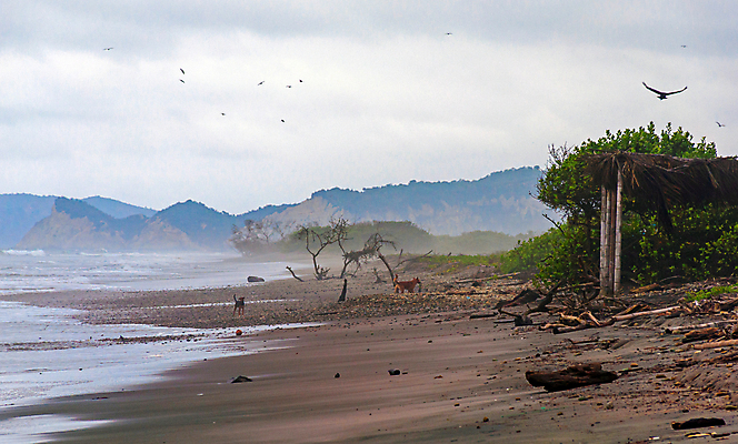 포토 JPG 해외이미지 구름 여행 백그라운드 자연 하늘 열대 따뜻함 손바닥 풍경 사람없음 야외 초록색 여름 빛 햇빛 반사 환경 어둠 새벽 안개 시골 뜨거움 남아메리카 고독 그늘 에콰도르 흐림 내추럴 생태학 혼자 해외202004 해외포토 자연요소 손 계절 교육 감정 컬러 날씨 아메리카 태양 생태계 파일형식 이미지허브
