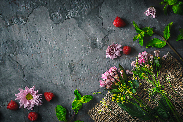 포토 JPG 해외이미지 식물 열매 꽃잎 꽃 분홍색 꽃다발 백그라운드 잎 과일 자연 탁자 프레임 사람없음 장식 가로 빨간색 초록색 갈색 노란색 정원 어둠 회색 벚꽃 직물 신선 혼합 자르기 다발 민트 허브 준비 만들기 산딸기 캔버스 모음 정물화 해외202004 해외포토 컬러 가구 모션 한글 그림 생태계 파일형식 이미지허브
