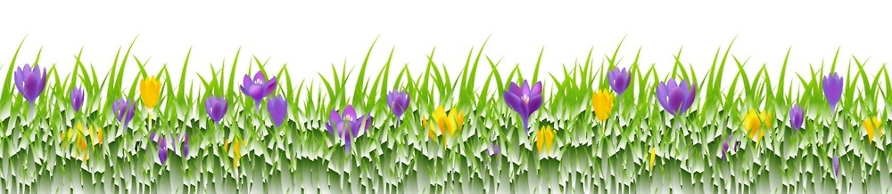 EPS 해외이미지 식물 계절 꽃잎 꽃 백그라운드 잎 꽃무늬 일러스트 자연 부활절 프레임 초록색 여름 파란색 보라색 봄 들꽃 벚꽃 흰색 신선 신용카드 개화 닫기 디자이너 4월 제비꽃 묘사 오브젝트 라일락 고립 많음 현실 디테일 해외202004 해외일러스트 직업 기념일 컬러 컨셉 무늬 모션 금융 날짜 생태계 파일형식 벡터 이미지허브