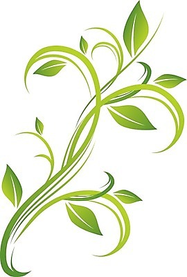 EPS 해외이미지 모양 식물 디자인 잎 꽃무늬 곡선 일러스트 자연 추상 장식 초록색 여름 봄 성장 소용돌이 나뭇가지 신선 화려 에코 해외202004 해외일러스트 나무 계절 꽃 선 컬러 컨셉 무늬 환경 회오리 생태계 파일형식 벡터 이미지허브