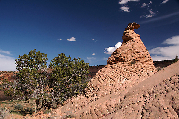 포토 JPG 해외이미지 북아메리카 자연 산 풍경 사람없음 빨간색 미국 사막 바위 황무지 비밀 해외202004 해외포토 컬러 컨셉 아메리카 돌_바위 생태계 파일형식 이미지허브