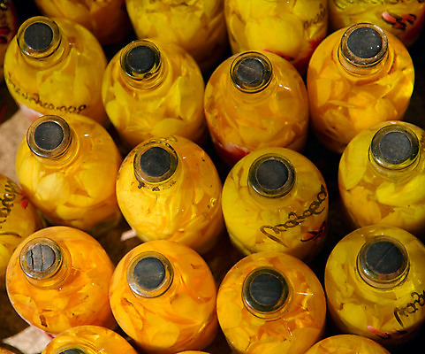 포토 JPG 해외이미지 식물 전통 꽃 아시아 선 자연 표면 선물 씨앗 사람없음 빛 노란색 화장품 수확 투명 유기농 피클 아로마 코르크 향 내추럴 등급 해외202004 해외포토 웰빙 나라 컬러 농업 뷰티 생태계 절임 파일형식 이미지허브