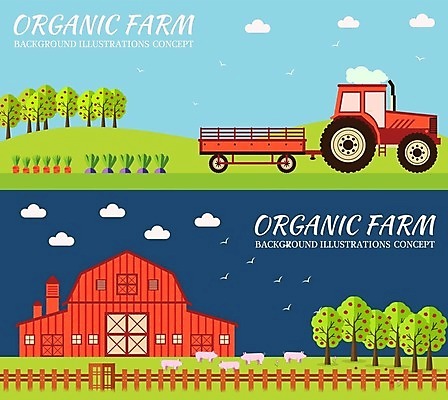 EPS 해외이미지 식물 디자인 토마토 채소 과일 일러스트 자연 호박 주택 건강 풍경 사람없음 초록색 울타리 농가 정원 목장 인포그래픽 풍차 시골 신선 양 돼지 소 볏짚 사과 농부 만화 땅 밀 삽 오브젝트 유기농 대문 수탉 내추럴 외양간 고립 쇠스랑 엘리먼트 해외202004 해외일러스트 직업 웰빙 컬러 포유류 곡류 건물 담장 농장 문 닭 짚 수컷 생태계 파일형식 벡터 이미지허브