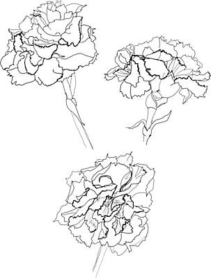 EPS 해외이미지 식물 계절 꽃 야생동물 꽃무늬 패턴 일러스트 자연 잉크 흑백 그래픽 장식 펜 정원 검은색 흰색 나뭇가지 스케치 카네이션 그림 생물학 손그림 판화 옛날 해외202004 해외일러스트 나무 동물 교육 컬러 무늬 촬영기법 미술 필기구 생태계 파일형식 벡터 이미지허브