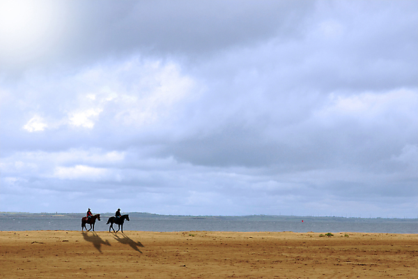 포토 JPG 해외이미지 구름 풍경 사람없음 야외 말_동물 복고 해외202004 해외포토 자연요소 포유류 파일형식 이미지허브