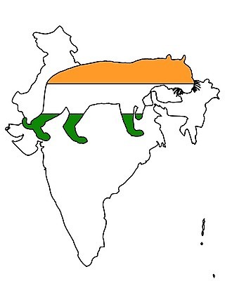 EPS 해외이미지 동물 배너 실루엣 아시아 백그라운드 오렌지 일러스트 초록색 고양이 흰색 깃발 호랑이 큼 심볼 사인 고립 동물상 전국 해외202004 해외일러스트 나라 컬러 과일 포유류 촬영기법 반려동물 조형물 크기 파일형식 벡터 이미지허브