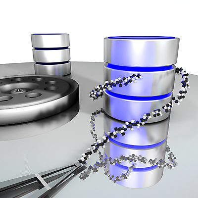 포토 JPG 해외이미지 나무 잎 일러스트 수치 종류 사람없음 내부 그래픽 파란색 숫자 머리 3D 검은색 자료 블록 흰색 큐브 검색 만들기 수납 온라인 마디 토막 경영 데이터베이스 이진법 해외202004 해외포토 식물 문자 컬러 비즈니스 모션 그래프 신체부위 수학 디지털합성 파일형식 이미지허브