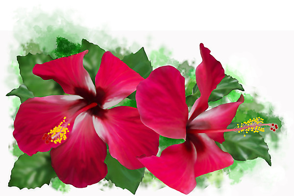 포토 JPG 해외이미지 나무 식물 꽃잎 꽃 백그라운드 잎 꽃무늬 일러스트 자연 사람없음 야외 빨간색 초록색 머리 정원 봄 활발 성장 개화 닫기 꽃가루 이국적 히비스커스 해외202004 해외포토 계절 컬러 컨셉 무늬 모션 신체부위 가루 생태계 파일형식 이미지허브