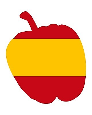 EPS 해외이미지 배너 음식 백그라운드 채소 과일 일러스트 고추 빨간색 노란색 깃발 스페인 먹기 심볼 사인 날것 후추 고립 스페인어 전국 해외202004 해외일러스트 유럽 컬러 모션 향신료 파일형식 벡터 이미지허브