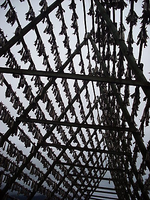 포토 JPG 해외이미지 사람없음 해외202004 해외포토 파일형식 이미지허브