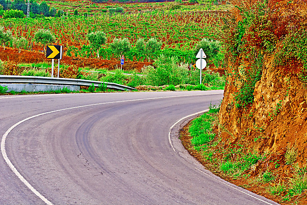 포토 JPG 해외이미지 나무 식물 유럽 도로 선 여행 밭 농업 곡선 과일 자연 포도 아침 산 주택 풍경 사람없음 초록색 농가 농장 마을 와인 정원 계곡 수확 안개 성장 가을 시골 아스팔트 땅 맨션 포르투갈 언덕 사인 올리브 포도밭 포도나무 포트 땅바닥 양조장 줄서기 해외202004 해외포토 주간 계절 열매 나라 산업 길 컬러 교통시설 모션 날씨 바닥 주류 건물 과일나무 생태계 파일형식 이미지허브