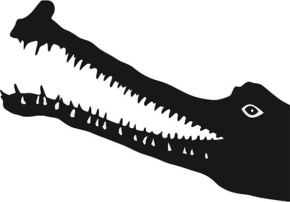 EPS 해외이미지 동물 실루엣 일러스트 가족 파충류 아프리카 동물원 양서류 반려동물 검은색 가시 습지 위험 도마뱀 육식동물 악어 고립 변소 우화 해골모형 소름 해외202004 해외일러스트 감정 나라 컬러 컨셉 관계 촬영기법 모형 파일형식 벡터 이미지허브