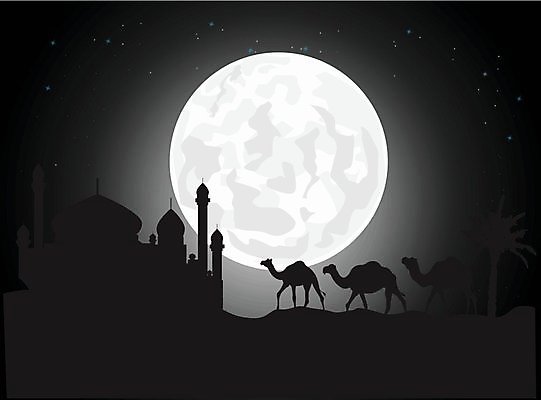 EPS 해외이미지 나무 디자인 산업 문화 여행 백그라운드 일러스트 건축양식 조류 아침 이집트 손바닥 풍경 건물 도시풍경 탑 고층빌딩 봄 안개 달 도시 센터 시장 가격 땅 모래언덕 전쟁 낙타 연료 가스 타운 스카이라인 아랍에미리트 진행 시리아 아랍어 카라반 카이로 해외202004 해외일러스트 주간 자연요소 식물 동물 건축물 손 계절 건축 중동 포유류 아프리카 날씨 빌딩 언덕 캠핑카 파일형식 벡터 이미지허브