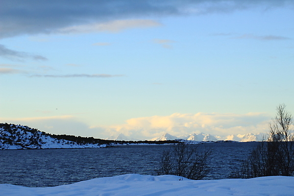 포토 JPG 해외이미지 나무 유럽 별 길 여행 겨울 자연 하늘 전등 노르웨이 사람 풍경 사람없음 야외 가로 초록색 냉동 얼음 황혼 놀람 새벽 추위 숲 오솔길 북극 천문학 북쪽 오로라 내추럴 스칸디나비아 현상 해외202004 해외포토 자연요소 식물 계절 교육 감정 나라 컬러 자연현상 조명 표정 일몰 극지방 방향 생태계 파일형식 이미지허브