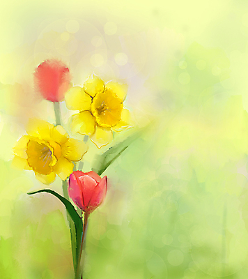 JPG 해외이미지 꽃 일러스트 사람없음 연두색 튤립 그림 손그림 수선화 유화 해외202004 해외일러스트 식물 미술 초록색 파일형식 이미지허브