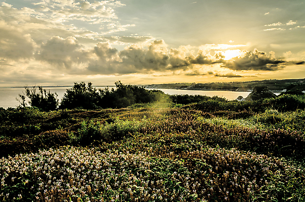 포토 JPG 해외이미지 구름 계절 모래 파도 바다 여행 백그라운드 자연 하늘 휴가 휴식 풍경 사람없음 야외 초록색 물 여름 파란색 빛 컬러풀 태양 맑음 봄 프랑스 흰색 만 황금 휴양지 암초 내추럴 파라다이스 수평선 해외202004 해외포토 자연요소 유럽 컬러 컨셉 날씨 장소 생태계 파일형식 이미지허브
