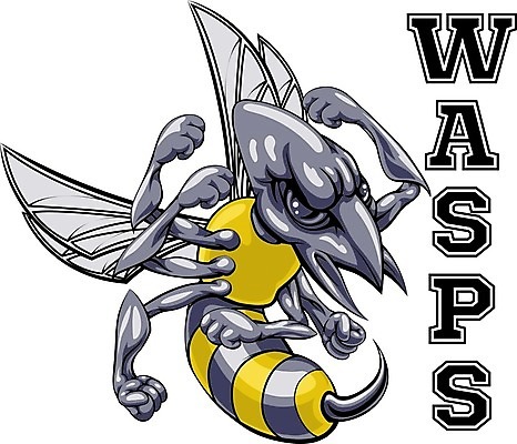 EPS 해외이미지 클립아트 동물 캐릭터 디자인 종이 스포츠 곤충 날개 일러스트 학교 노란색 금속 검은색 힘 분노 흰색 구멍 벌레 말벌 위험 공격 만화 벌 문신 심볼 그림 꿀 찌르기 격파 고립 마스코트 해외202004 해외일러스트 일러캐릭터 교육 감정 컬러 컨셉 모션 재질 벌_곤충 파일형식 벡터 이미지허브