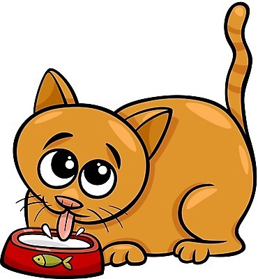 EPS 해외이미지 일러스트 사람없음 귀여움 고양이 우유 만화 먹기 밥그릇 해외일러스트 그릇 컨셉 포유류 모션 유제품 반려동물 파일형식 벡터 이미지허브