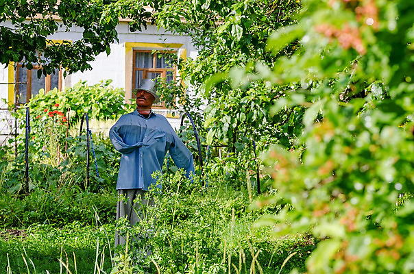 포토 JPG 해외이미지 식물 얼굴 음식 인형 밭 농업 자연 조류 풍경 사람없음 장식 여름 농작물 농장 정원 수확 가을 시골 캔 보호 마네킹 원예 보안 원예사 해외202004 해외포토 동물 직업 계절 산업 컨셉 안전 취미 신체부위 생태계 파일형식 이미지허브