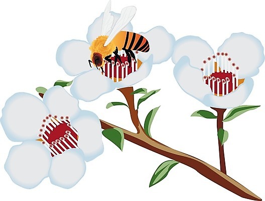 EPS 해외이미지 클립아트 식물 디자인 계절 꽃 음식 곤충 백그라운드 잎 꽃무늬 농업 일러스트 자연 건강 미술 그래픽 장식 여름 농장 노란색 정원 벚꽃 흰색 벌레 꿀벌 상품 만화 벌 그림 꿀 벌집 내추럴 고립 밭일 양봉 해외202004 해외일러스트 동물 산업 컬러 무늬 문화예술 벌_곤충 생태계 파일형식 벡터 이미지허브