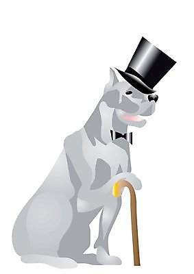 EPS 해외이미지 동물 옷 컨셉 일러스트 포유류 넥타이 반려동물 흰색 표현 유머 개 호기심 마스티프 해외202004 해외일러스트 잡화 감정 컬러 파일형식 벡터 이미지허브