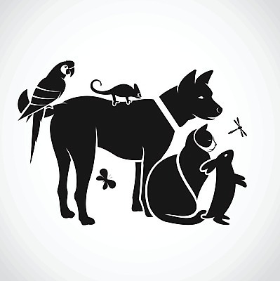 EPS 해외이미지 동물 디자인 실루엣 나비 일러스트 포유류 자연 조류 미술 앉기 그래픽 반려동물 세트 픽토그램 검은색 고양이 화목 흰색 토끼 개 잠자리 만화 수집 문신 심볼 사인 그림 앵무새 윤곽 비글 수의사 송곳니 고립 돌봄 마스코트 엘리먼트 유래 카멜레온 해외202004 해외일러스트 컬러 곤충 컨셉 파충류 모션 문화예술 촬영기법 의사 치아 생태계 파일형식 벡터 이미지허브