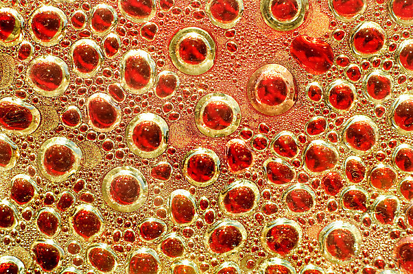 포토 JPG 해외이미지 접시 문화 추상 세포 사람없음 빨간색 물 컬러풀 활발 거품 조직 바이러스 시험관 미생물 박테리아 식민지 해외202004 해외포토 자연요소 식기 컬러 컨셉 무늬 의학 생물 실험기구 파일형식 이미지허브