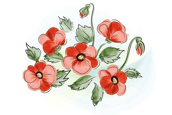 EPS 해외이미지 꽃잎 꽃 백그라운드 잎 꽃무늬 일러스트 수채화 사람없음 양귀비 해외202004 해외일러스트 식물 무늬 파일형식 벡터 이미지허브