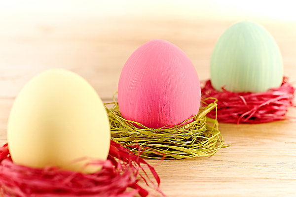 포토 JPG 해외이미지 전통 계절 음식 백그라운드 휴가 부활절 선물 사람없음 목재 장식 컬러풀 계란 봄 축하 토끼 인사 신용카드 그리기 둥지 설탕 심볼 활 특별함 핸드메이드 해외202004 해외포토 나무 기념일 컬러 컨셉 재료 포유류 모션 금융 반려동물 알 예절 파일형식 이미지허브