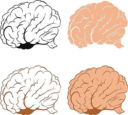 EPS 해외이미지 디자인 교육 실루엣 과학 백그라운드 컨셉 일러스트 해부 추상 아이디어 건강 창조 미술 사람 내부 그래픽 스터디 세트 약 머리 흰색 마음 오르간 플랫 스마트 심볼 사인 뇌 시스템 고립 지능 해외202004 해외일러스트 컬러 무늬 의학 문화예술 촬영기법 신체부위 학습 건반악기 파일형식 벡터 이미지허브