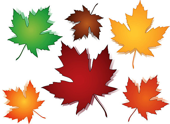 EPS 해외이미지 나무 식물 디자인 계절 단풍 잎 오렌지 일러스트 자연 종류 그림자 그래픽 빨간색 초록색 컬러풀 갈색 추위 가을 혼합 숲 그늘 옵션 해외202004 해외일러스트 컬러 과일 생태계 파일형식 벡터 이미지허브