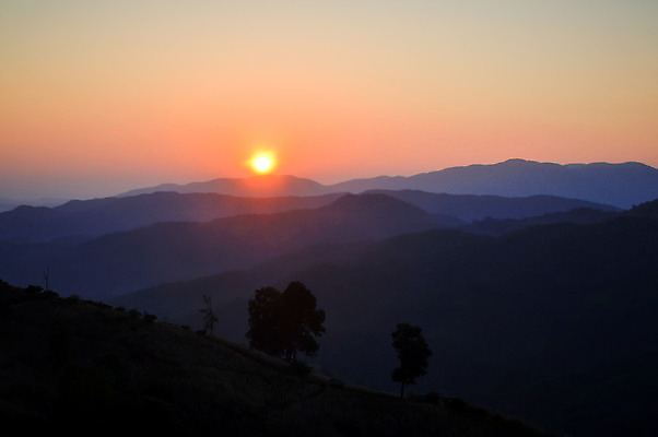 포토 JPG 해외이미지 나무 식물 구름 계절 공원 여행 백그라운드 자연 하늘 아침 산 발렌타인데이 사랑 풍경 사람없음 야외 여름 빛 햇빛 태양 노란색 일출 환경 일몰 봄 새벽 안개 가을 시골 달콤 저녁 숲 땅 장면 천국 내추럴 해외202004 해외포토 주간 자연요소 공공시설 감정 컬러 데이이벤트 날씨 노을 맛 야간 생태계 파일형식 이미지허브