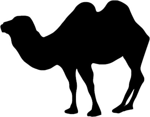 EPS 해외이미지 동물 캐릭터 디자인 야생동물 일러스트 포유류 자연 동물원 황무지 만화 그림 생물학 고립 단봉낙타 해외202004 해외일러스트 일러캐릭터 교육 생태계 파일형식 벡터 이미지허브