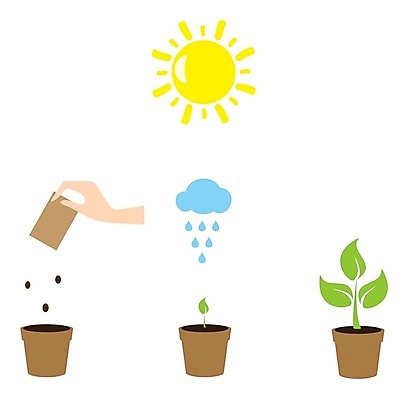 EPS 해외이미지 나무 식물 구름 꽃 음식 잎 꽃무늬 밭 농업 일러스트 자동차 자연 씨앗 초록색 물 농작물 세트 태양 농장 갈색 바구니 정원 흙 수확 성장 시골 캔 떨어짐 냄비 사과 농부 낟알 밀 심볼 물주기 유기농 원예 내추럴 꼬투리 밭일 해외202004 해외일러스트 자연요소 직업 웰빙 산업 육상교통 컬러 컨셉 무늬 과일 모션 곡류 취미 솥 생태계 파일형식 벡터 이미지허브