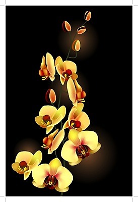 EPS 해외이미지 식물 꽃잎 꽃 줄기 꽃다발 백그라운드 꽃무늬 오렌지 일러스트 자연 휴가 컵 노란색 정원 보라색 검은색 봄 벚꽃 나뭇가지 인사 신용카드 개화 난초 숲 오브젝트 그림 아로마 호접란 잡종 고립 이국적 해외202004 해외일러스트 나무 식기 계절 컬러 무늬 과일 금융 예절 생태계 파일형식 벡터 이미지허브