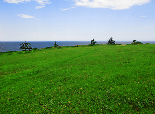 포토 JPG 해외이미지 선 파도 바다 섬 여행 자연 하늘 휴가 풍경 해변 사람없음 야외 초록색 물 여름 파란색 시골 소나무 가장자리 호주 심플 태평양 침엽수 서식지 내추럴 직진 수평선 해외202004 해외포토 자연요소 나무 계절 컬러 오세아니아 둘레 생태계 파일형식 이미지허브