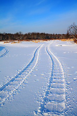포토 JPG 해외이미지 계절 도로 여행 겨울 패턴 교통시설 표면 날씨 스키 사람없음 야외 햇빛 냉동 얼음 줄무늬 흰색 시골 바퀴 거친 가시 맥박 매끈함 인쇄 발자국 땅 속도 싱글 질감 서식 서리 타이어 장면 평행 선로 자취 효과 해외202004 해외포토 자연요소 길 컬러 교통 무늬 의학 자국 겨울스포츠 태양 감각 시설 파일형식 이미지허브