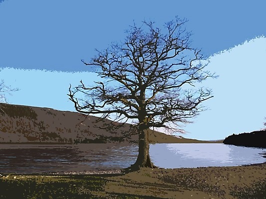 EPS 해외이미지 나무 호수 일러스트 자연 유리 침묵 지역 내추럴 컴브리아주 해외202004 해외일러스트 식물 재질 소리 생태계 파일형식 벡터 이미지허브