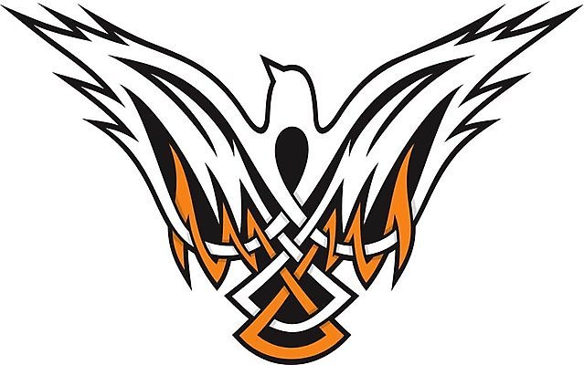 EPS 해외이미지 클립아트 오렌지 일러스트 조류 검은색 비둘기 부족 해외202004 해외일러스트 동물 컬러 컨셉 과일 파일형식 벡터 이미지허브