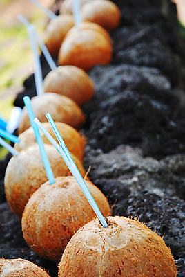 포토 JPG 해외이미지 나무 라이프스타일 계절 아시아 문화 음료 음식 여행 컨셉 패턴 과일 태국 추상 휴가 한국 건강 동양인 사람없음 야외 물 갈색 신선 시원함 심볼 오브젝트 상쾌 코코넛 밀짚 해외202004 해외포토 자연요소 식물 감정 나라 컬러 무늬 인종 생활 짚 파일형식 이미지허브