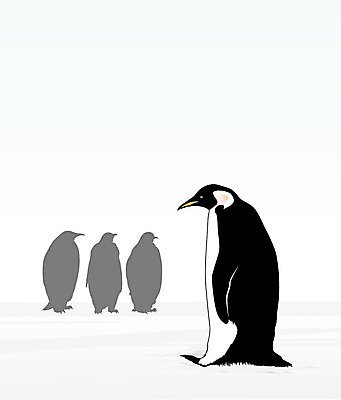 EPS 해외이미지 일러스트 조류 얼음 검은색 흰색 큼 깃털 펭귄 해외202004 해외일러스트 자연요소 동물 컬러 크기 파일형식 벡터 이미지허브