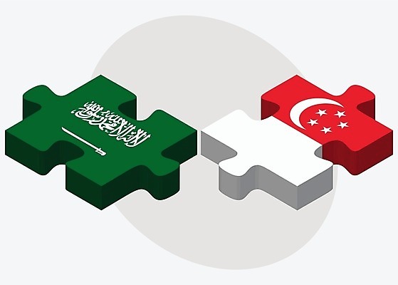 EPS 해외이미지 조각 컨셉 일러스트 관계 아프리카 협력 함께함 사람 그래픽 3D 깃발 퍼즐 연결 결합 접속 오브젝트 흰배경 아라비아 나눔 해결 사우디아라비아 싱가폴 고립 공화국 아랍어 왕국 전국 정부 정치 통일 해외202004 해외일러스트 나라 아시아 중동 흰색 디지털합성 파일형식 벡터 컬러 이미지허브