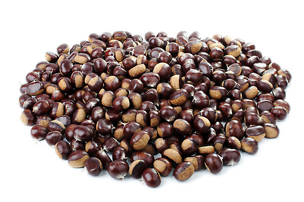 포토 JPG 해외이미지 식물 계절 음식 농업 과일 재료 부분 건조 건강 씨앗 사람없음 농작물 갈색 견과류 껍질 가을 흰색 그룹 매끈함 작음 먹기 오브젝트 유기농 날것 슛 고립 꼬투리 숙성 채식주의자 해외202004 해외포토 웰빙 산업 컬러 모션 감각 크기 채식 파일형식 이미지허브