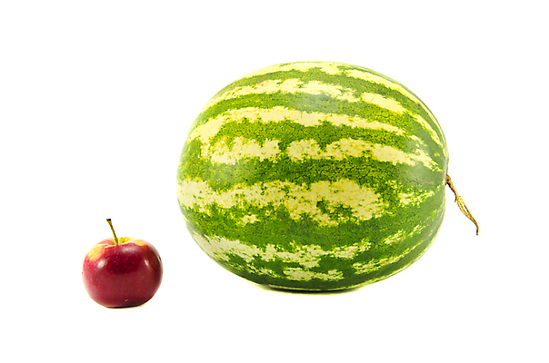 포토 JPG 해외이미지 라이프스타일 음식 조각 백그라운드 다이어트 과일 재료 자연 디저트 수박 건강 사람없음 빨간색 초록색 물 흰색 신선 달콤 사과 멜론 먹기 오브젝트 유기농 날것 내추럴 고립 채식주의자 해외202004 해외포토 자연요소 웰빙 컬러 모션 생활 맛 생태계 채식 파일형식 이미지허브