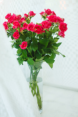 포토 JPG 해외이미지 식물 디자인 기념일 꽃잎 꽃 종이 분홍색 꽃다발 결혼 백그라운드 꽃무늬 자연 벽지 결혼식 휴가 발렌타인데이 선물 사랑 사람없음 장식 빨간색 초록색 장미 우주 봄 수확 벚꽃 흰색 신선 신용카드 닫기 다발 만족 활 질감 복고 고립 해외202004 해외포토 계절 감정 컬러 무늬 농업 모션 데이이벤트 이벤트 금융 생태계 파일형식 이미지허브